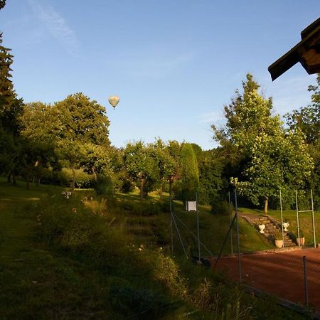 Chateau Radvanov Pension Mlada Vozice Luaran gambar