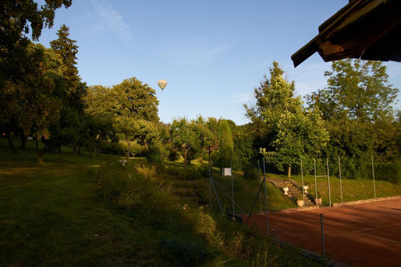 Chateau Radvanov Pension Mlada Vozice Luaran gambar